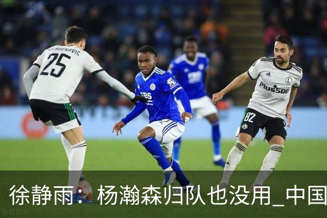 徐静雨：杨瀚森归队也没用 中国男篮跟日本已完全不是一个等级